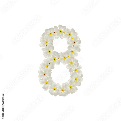 number 8 eight made of flowers frangipani or plumeria isolated.