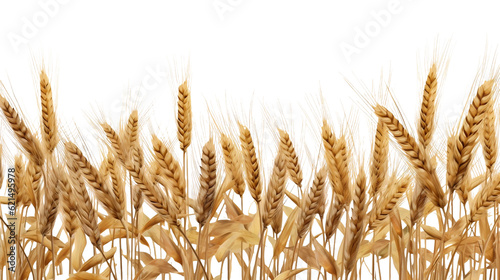 Golden wheat field border closeup, Harvest concept. Generative AI