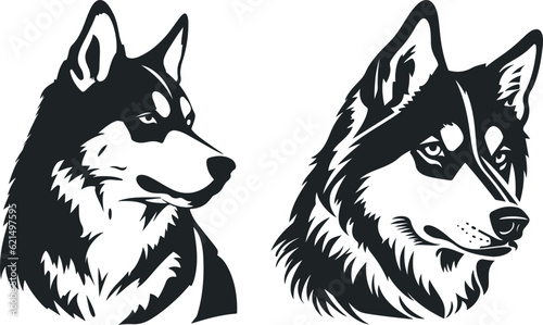 Husky dog Hand drawn portrait of dog. animal head side view vector illustration on white background.