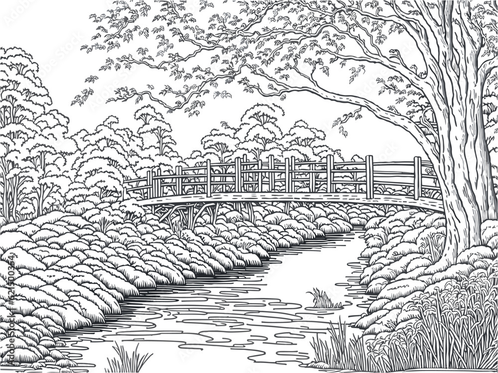 Landscape nature and Wooden bridge, Children coloring book.