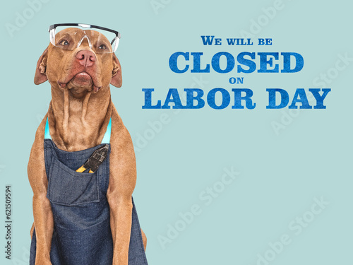 Signboard with the inscription We will be closed on Labor Day. Cute puppy and goggles. Closeup. Studio shot. Congratulations for family, loved ones, friends and colleagues. Pets care concept