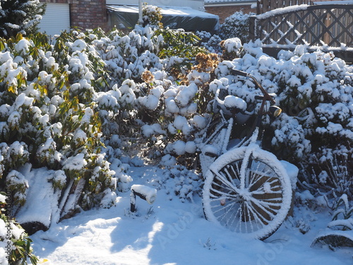 Winter im Garten 