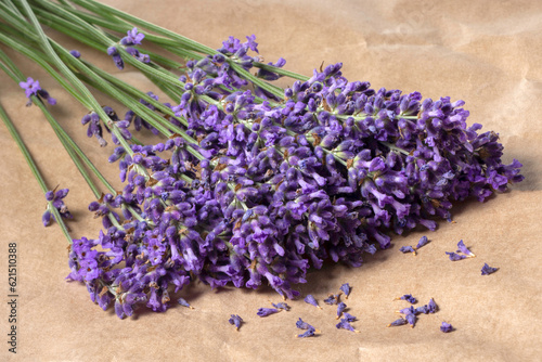 bunch of lavender flowers