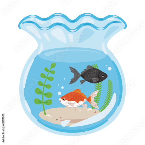 金魚と金魚鉢