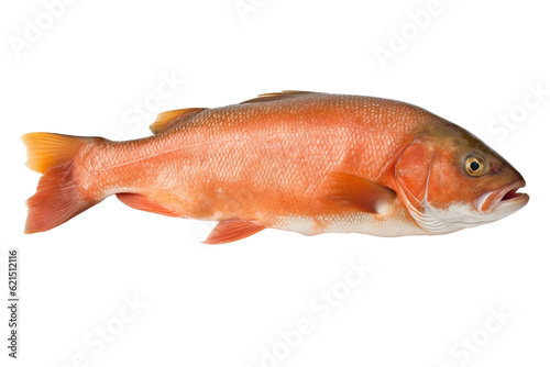 Steamed salmon. isolated object, transparent background
