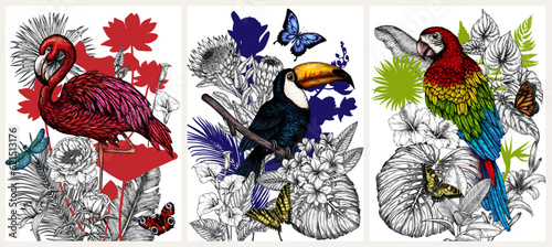Set of 3 posters with birds surrounded by tropical flowers and plants in engraving style. Macaw parrot, toucan and flamingos
