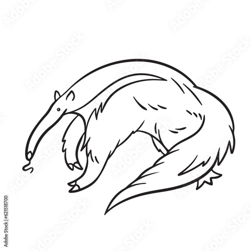 Photography Giant Anteater wild animals vector illustration outlined isolated on square white background