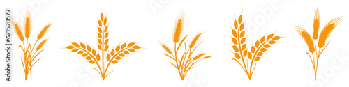Fényképezés Wheats rye rice ears set icons design elements of organic agricultural food