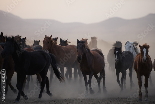 running horses © Anton Rostovsky
