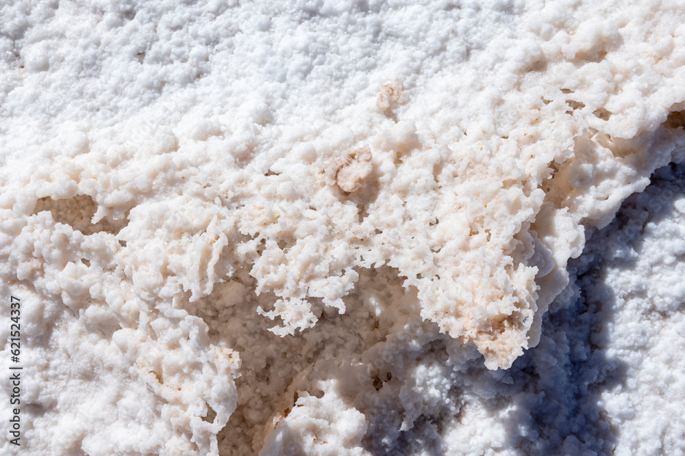 Salt crust detail of the famous tourist attraction Ojos del Mar near Tolar Grande in the Argentinian highlands called Puna; Traveling South America