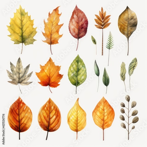 watercolor autumn leaves 