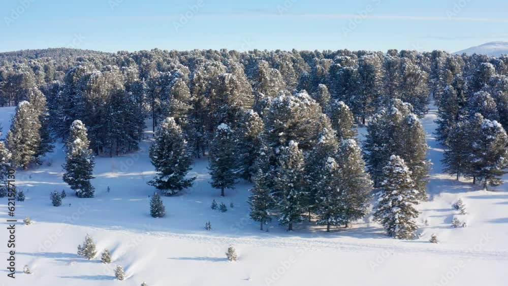 Altai mountains in winter: Seminsky Ridge and Seminsky Pass. Aerial view. Altai mountains in winter: Seminsky Ridge and Seminsky Pass. Aerial view.