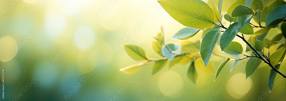 green nature leaf with bokeh background (1) green nature leaf with bokeh background (1)