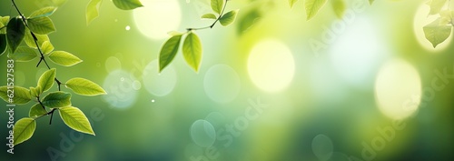 green nature leaf with bokeh background (1) photo