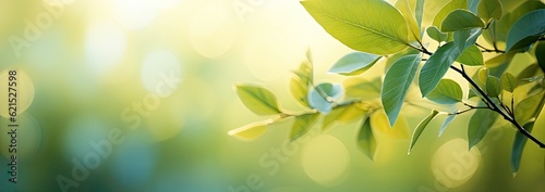 green nature leaf with bokeh background (1)