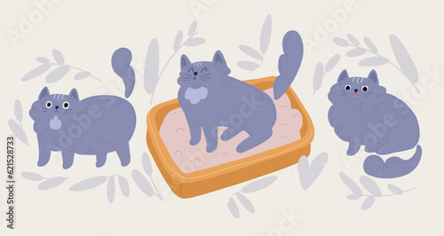 Vector illustration of gray cat siting next to a blue cat litter box.