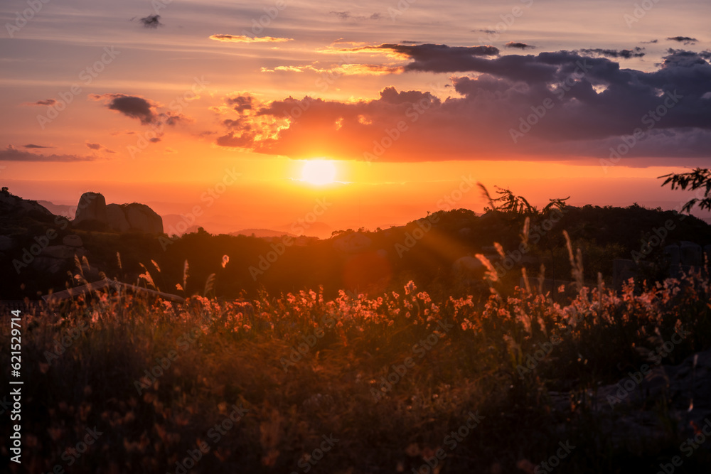 Sunset landscape in farm