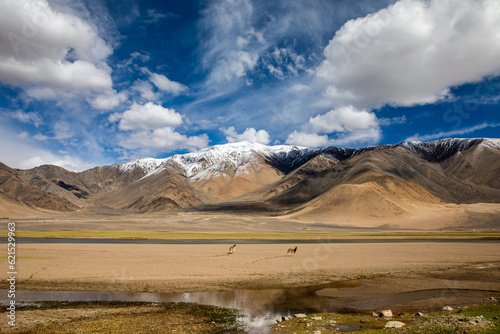 An himalayan landscape in ladakh region © senthil
