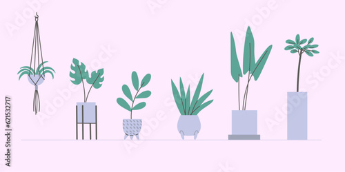 Set of vector flat house plants in pots. Two colours simple illustration.