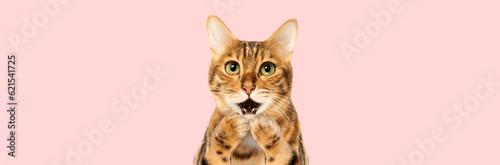 Surprised cat covering his mouth with his paws on a pink background.