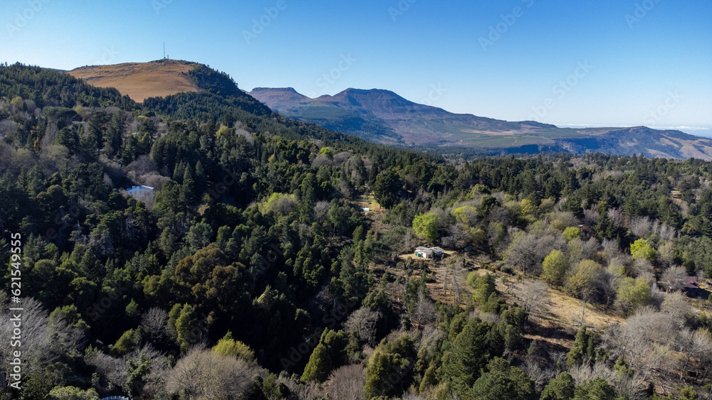 Hogsback Mountain Forest, Alice Eastern Cape