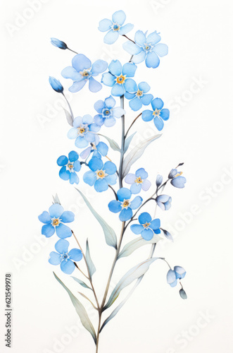 Forget-me-not twig  pastel blue tones  watercolor technique