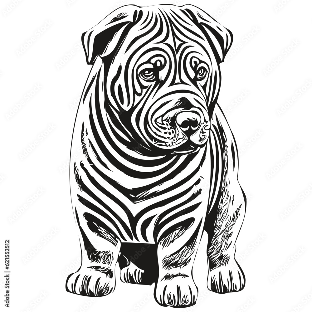 Chinese Shar Pei dog vector face drawing portrait, sketch vintage style transparent background realistic pet silhouette Chinese Shar Pei dog vector face drawing portrait, sketch vintage style transparent background realistic pet silhouette