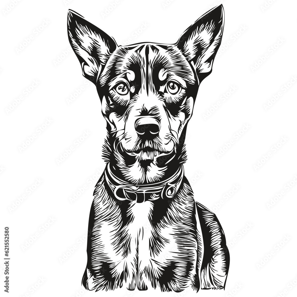 German Pinscher dog silhouette pet character, clip art vector pets drawing black and white