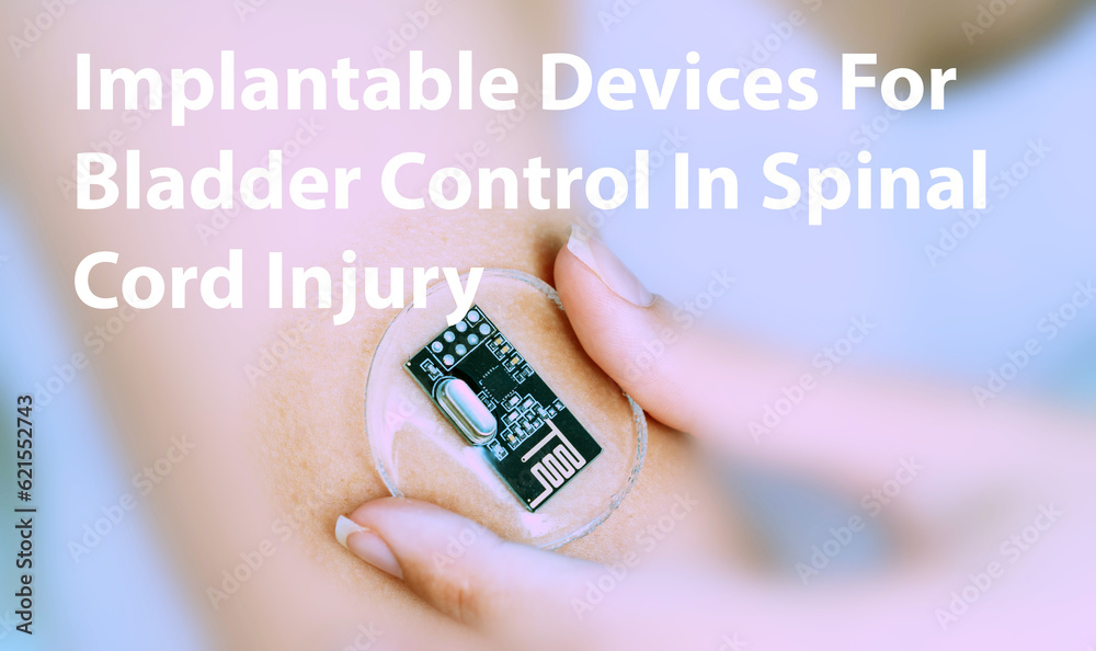 Foto de Implantable Devices For Bladder Control In Spinal Cord Injury