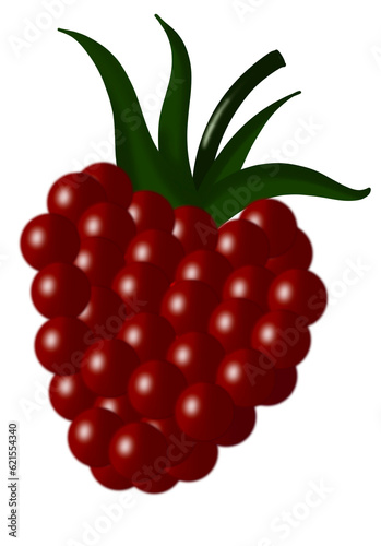 Raspberry