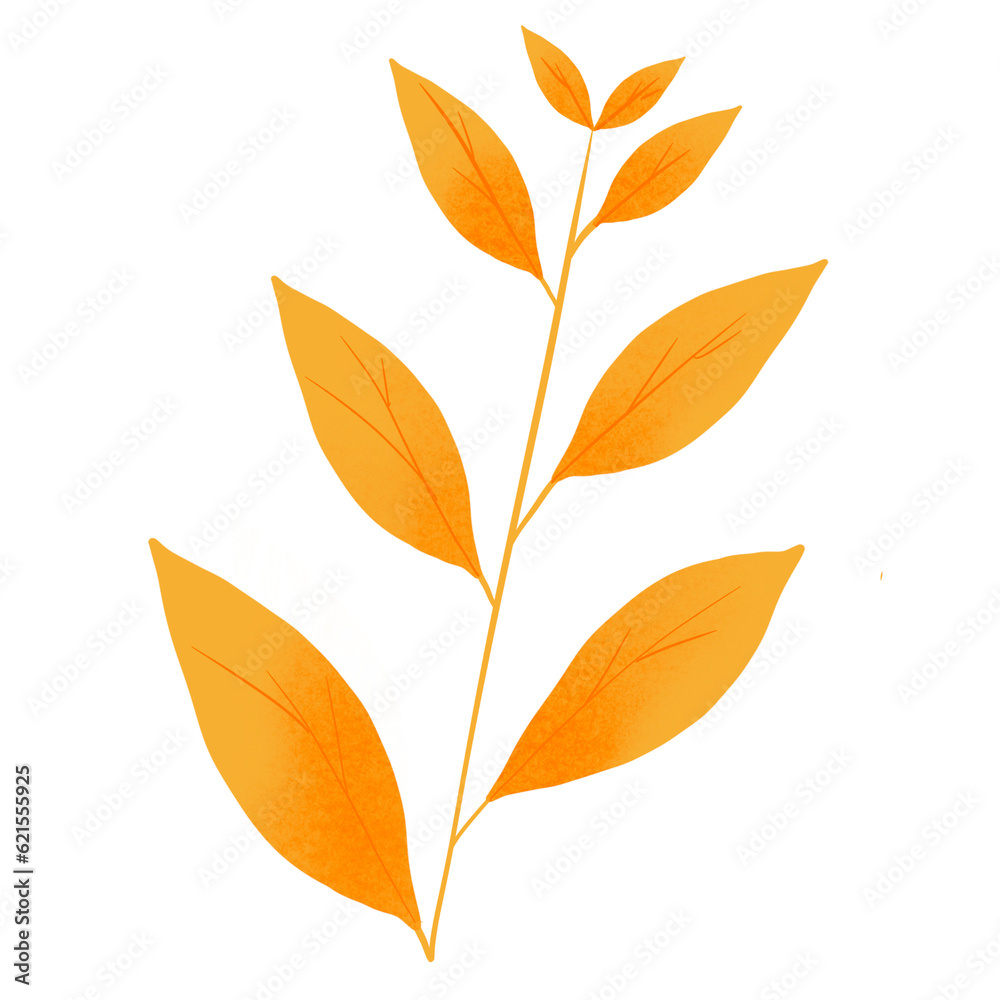 autumn leaves background autumn leaves background