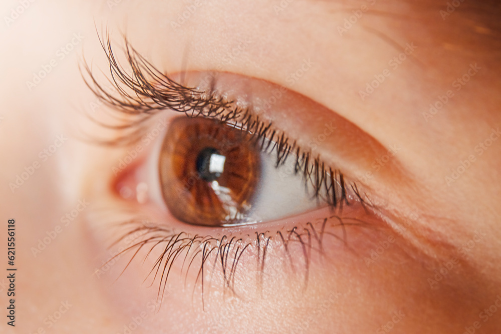 Obraz premium Close up shot of brown child eyes