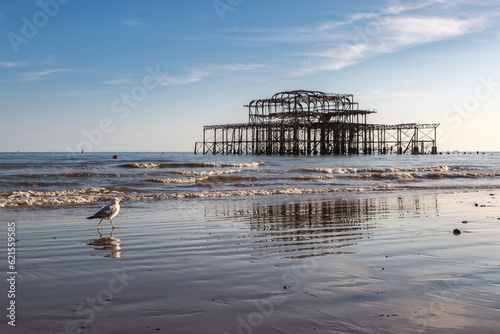 A seagull and the West Pier in Brighton, with reflections in the sand at low tide photo