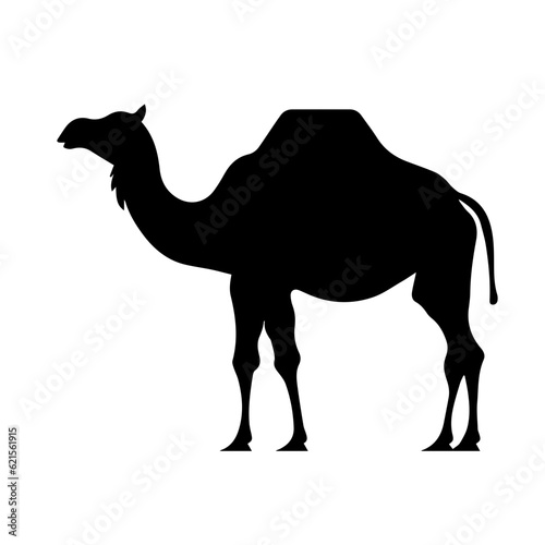 camel silhouette illustration 