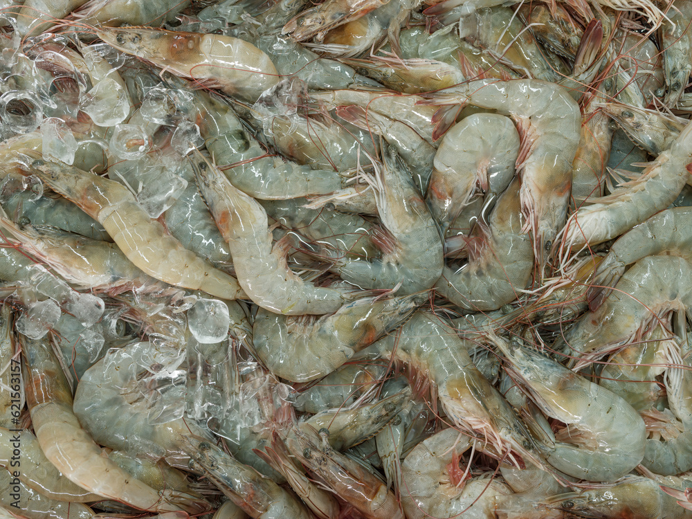 Fresh prawns on ice at the local market Fresh prawns on ice at the local market