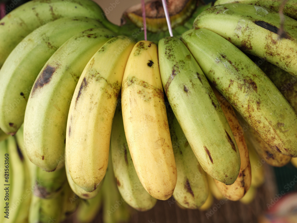 Fresh ripe bananas sold at the local street vendor