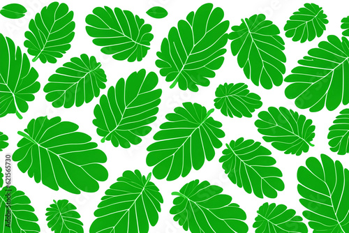 Illustrative image of mint leaf isolated. fresh mint leaves isolated on white background © Nenov Brothers