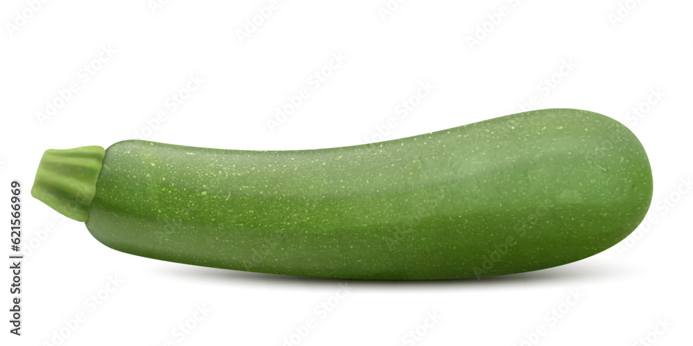 Fresh raw vegetable marrow zucchini isolated on a white background. Realistic 3d vector illustration. Can be used for advertising, packaging, banner, print, web design Fresh raw vegetable marrow zucchini isolated on a white background. Realistic 3d vector illustration. Can be used for advertising, packaging, banner, print, web design