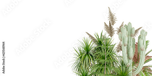 grass isolated on isolated and tree  plant on transparent background