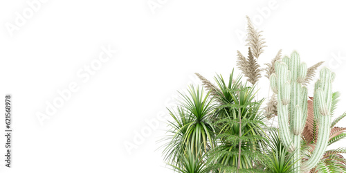 grass isolated on isolated and tree, plant on transparent background