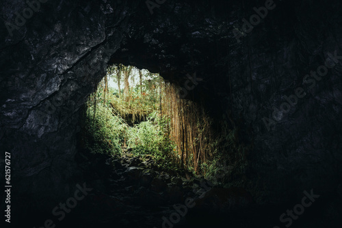 Vegatation roots at the entrance of Kaumana cave