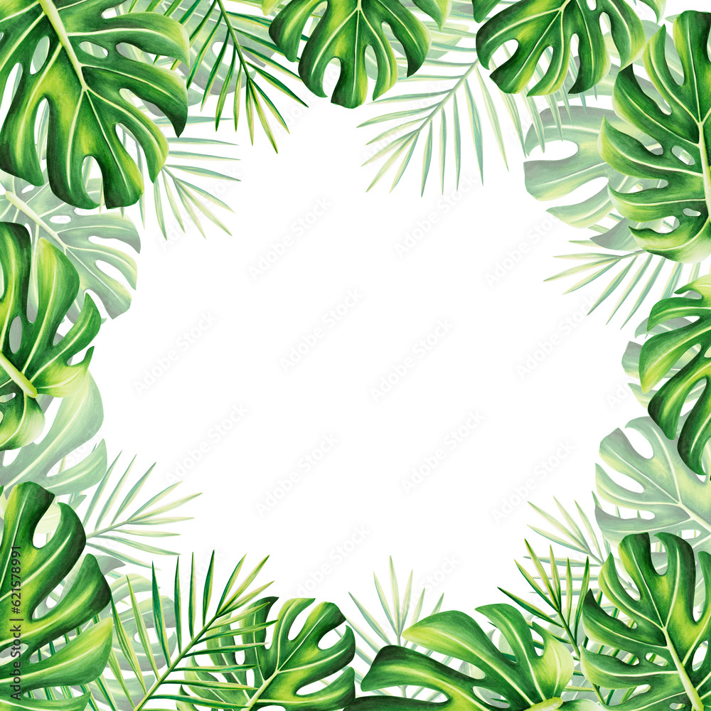 Watercolor frame with realistic tropical illustration of monstera and palm isolated on white background. Beautiful botanical hand painted floral elements. For designers, spa decoration, postcards, w