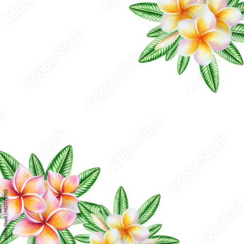 Watercolor frame with realistic tropical illustration of plumeria flowers with leaves isolated on white background. Beautiful botanical hand painted frangipani clip art. For designers, spa decoration,