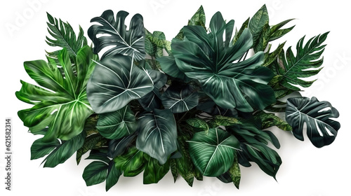 monster Leaves used in modern designs tropical leaves . Generative Ai