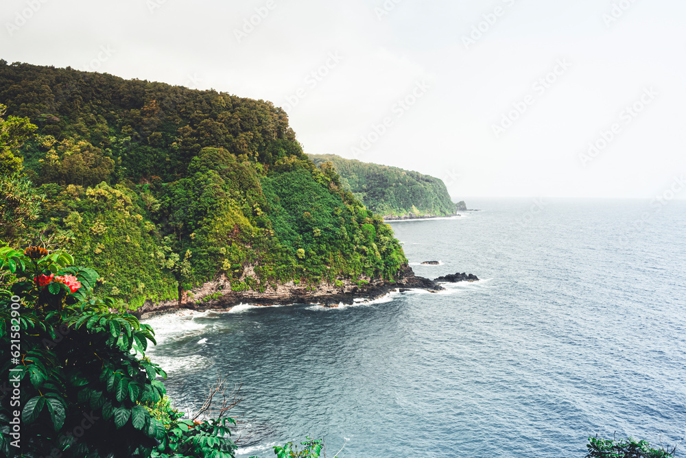 Naklejka premium Cliffs covered in jungle vegetation on the Shore of Maui