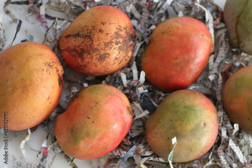 Apple mango or Ataulfo mango, is a variety of mango from the tropical regions photo