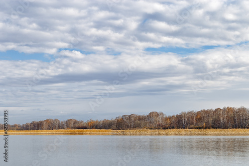 Aesthetic scenery of lake shore  dry reeds plant  blue still water  cloudy sky  nature environment background. Calm windless weather  natural scene  tranquil rural landscape  grass reeds lakeside