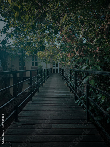 wooden bridge in the woods with Nature © Chaminda