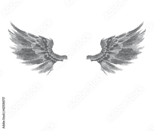 illustration of angel wings on transparent background