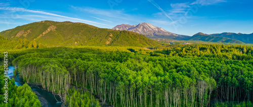 Mt Saint Helens